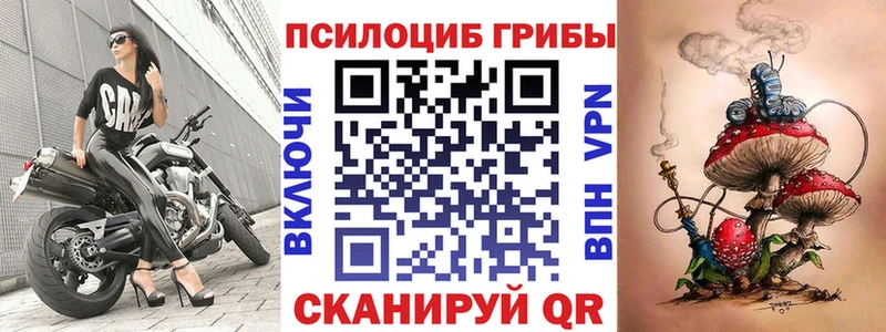 Галлюциногенные грибы Psilocybe  Юрьев-Польский 